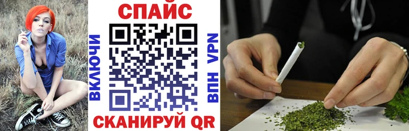 KRAKEN tor  цены   Кузнецк  Бутират бутик 