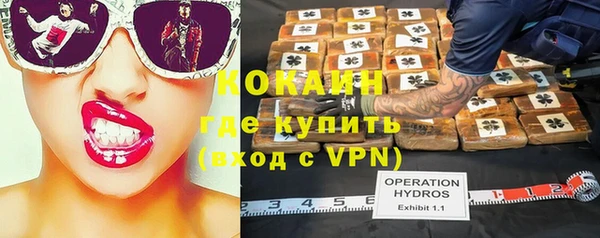 молекула духа Болхов