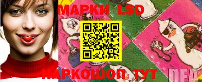 PSILOCYBIN Балахна