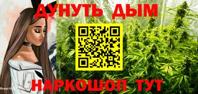 шишки Балашиха