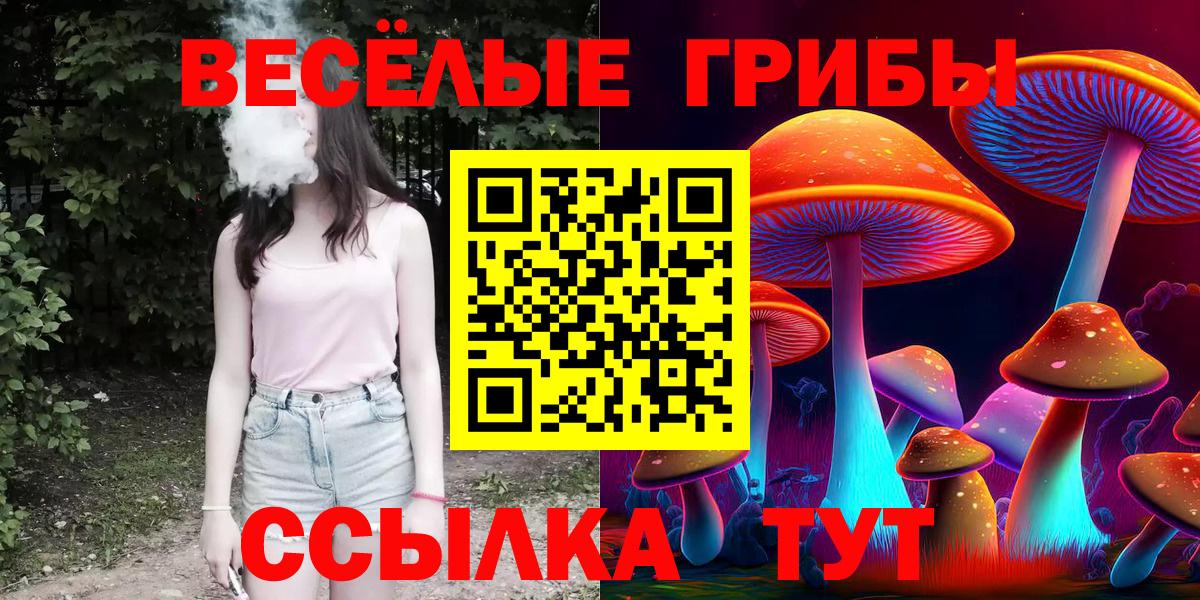 Псилоцибиновые грибы Psilocybe Кузнецк