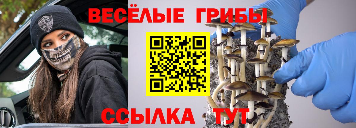 Галлюциногенные грибы Magic Shrooms  Кузнецк 